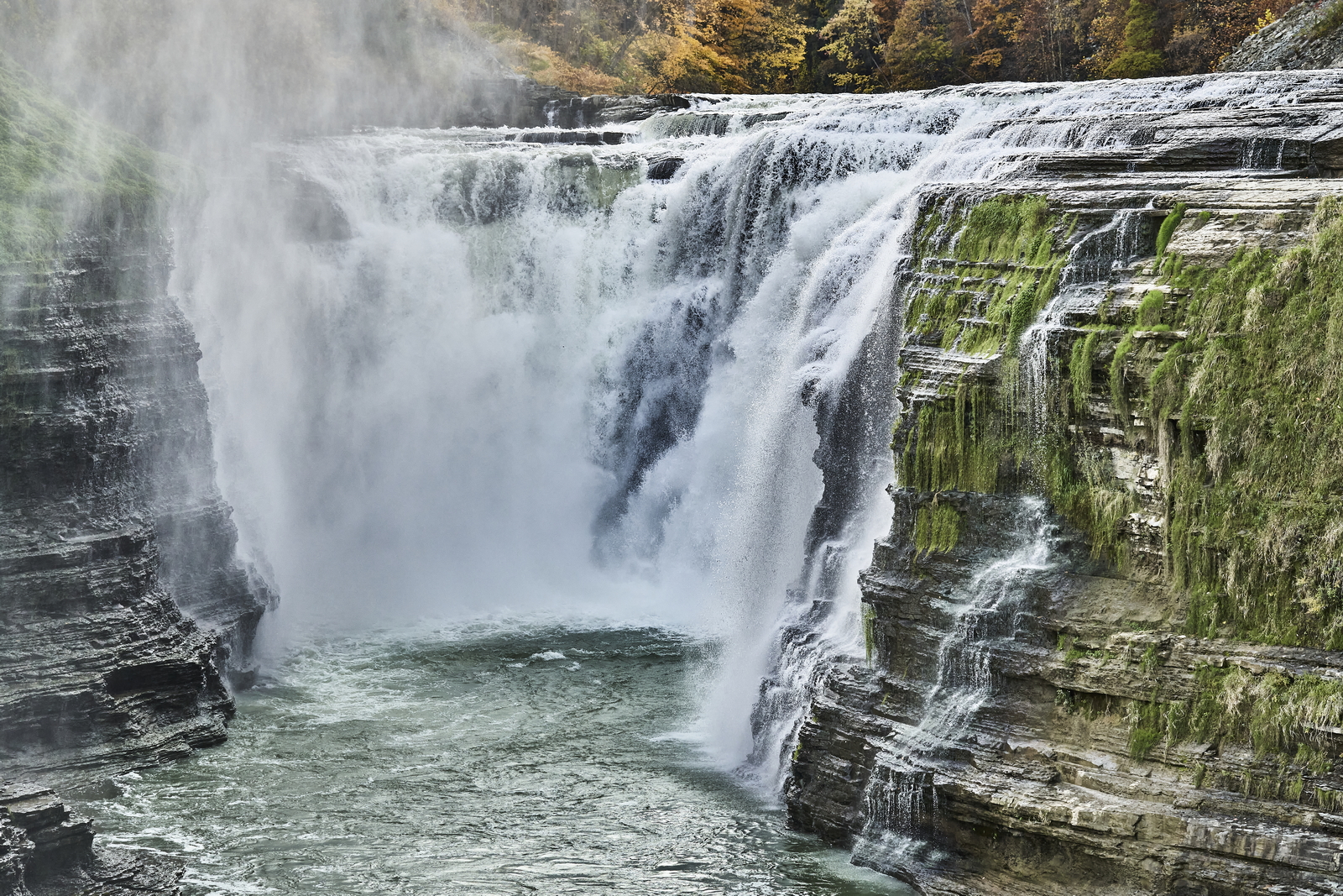 Indian Summer, Letchworth State Park, NY, USA